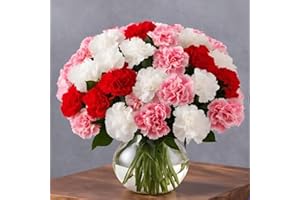 KaBloom PRIME NEXT DAY DELIVERY - Summer Collection - 18 Assorted Carnation With Vase. Gift for Birthday, Anniversary, Get Well, Thank You, Valentine, Mother’s Day Fresh Flowers