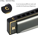 EastRock 10 Hole Blues Harmonica in C with Case and Cleaning Cloth view 2