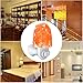 PULNDA Original Himalayan Salt Lamps Crystal Salt Lamp Natural Air Purifier and Soft Night Light for Living Dining Bed Room and Office (Cone)