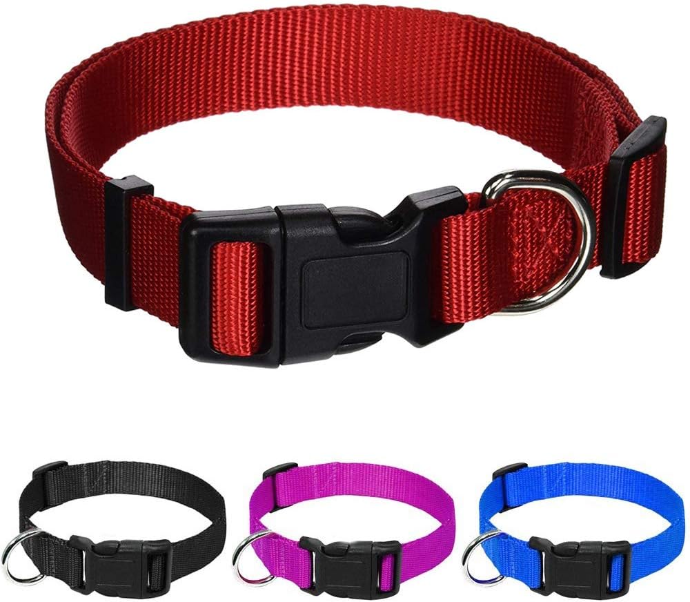 AEDILYS Adjustable Nylon Dog Collar Classic Solid Colors for Small Sized Dogs Neck, Multicolor: Sports & Outdoors