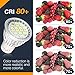 KINGSO GU10 LED Bulbs - 40W Halogen Bulbs Equivalent, 4W 550LM, 6000K, 120° Beam Angle, MR16 LED Light Bulbs, AC 85~165V, Pack of 10 - Pure White