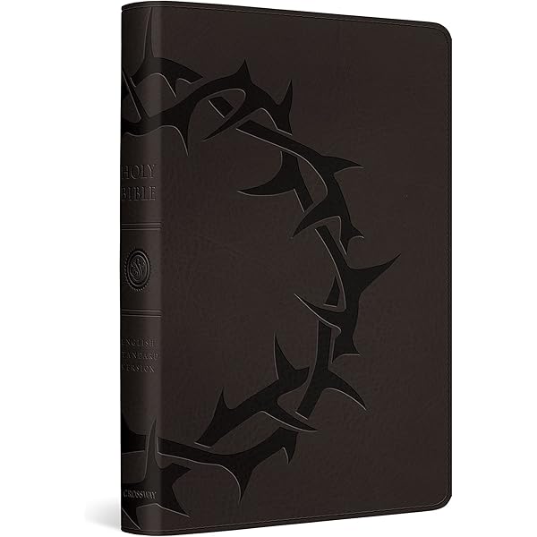 Terryworld: Richardson, Terry, Hanson, Dian: 9783836501910: Amazon