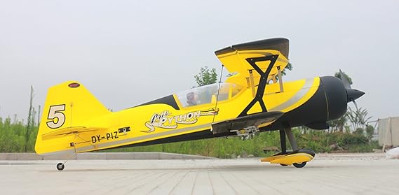 dynam pitts model 12