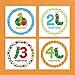 Stephan Baby Eric Carle The Very Hungry Caterpillar My First Year Monthly Sticker Photo-Op Set