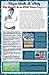 Ion Detox Ionic Foot Bath Spa Chi Cleanse Promotional Poster. Increase your Detox Foot Spa Sessions and Increase Income. Colorful Promotional Poster for Detox Foot Spa