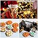 Christmas Russian Piping Tips Set 66pcs - Cake Cupcake Decorating Supplies kit- 25 Icing Nozzles Frosting tips - Ball Tips -30 Bags - 6 Silicone cups - 2 Couplers - Booklet - GIFT BOX by Stanley Fox