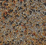 No-Till Cover Crop 13-Seed Mix (1 lb. Bag): [50% Clovers Plus Fenugreek, Vetch, Flax, Cowpeas, Buckwheat, Forage Peas, Millet, Lentils, Crimson Clover, Sweet Yellow, White Clover, Medium Red Clover]