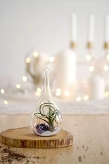 Mkouo 3 Pack Glass Hanging Planter Terrarium Vase for Succulents & Air Plants view 6