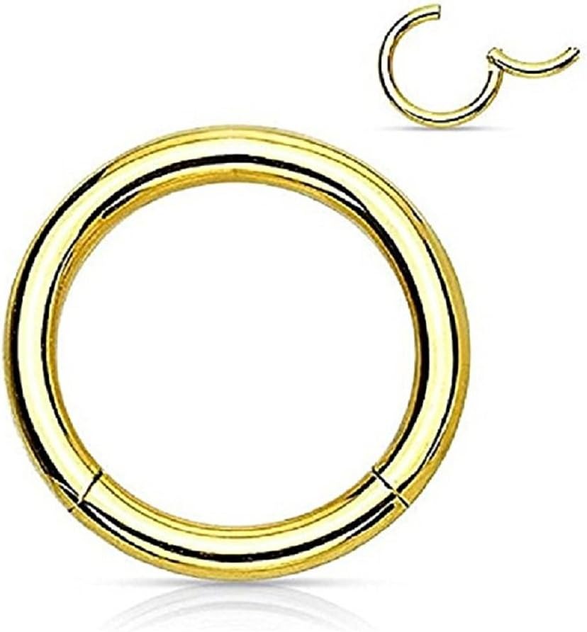 Hinged Seamless WildKlass Jewely Septum Clicker Ring 316L Surgical Steel (Sold Individually)