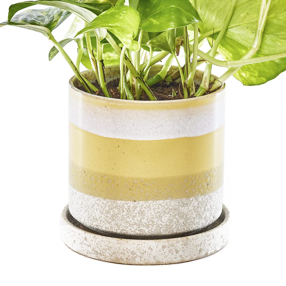 Chive - Minute, Succulent, Cactus Pot and Saucer Ceramic Flower and Plant Container with Drainage Hole and Detachable Saucer Great for Indoor/Outdoor Garden Decor (Yellow) — image 1