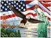 TOCARE 5D Diamond Painting Kits for Adults 20x14Inch Round Full Drill Diamond Art Kit for Adults Teens God Bless USA Independence Day Liberty