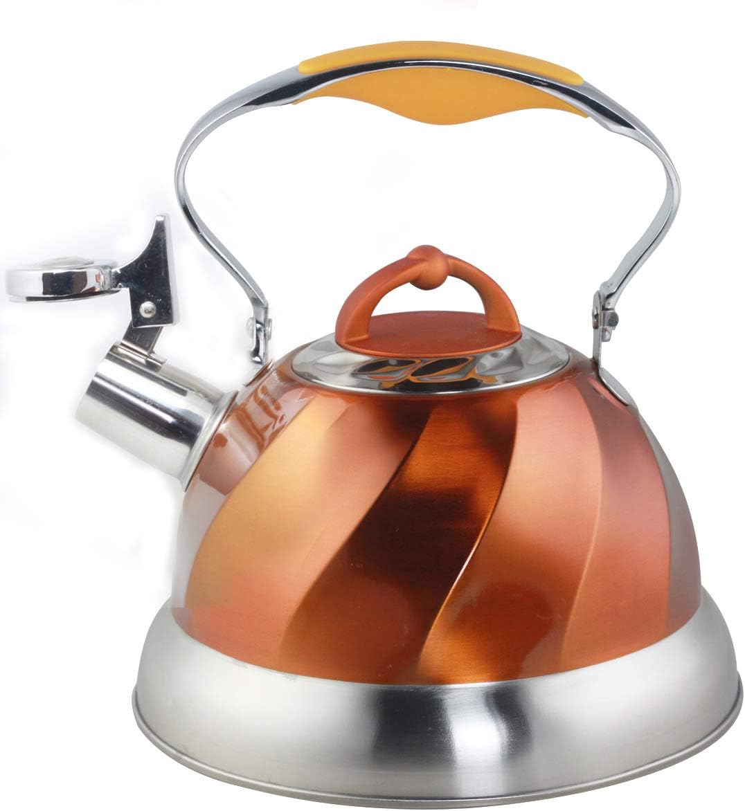 Best Stainless Steel Tea Kettle Spiral Handle Home Appliances