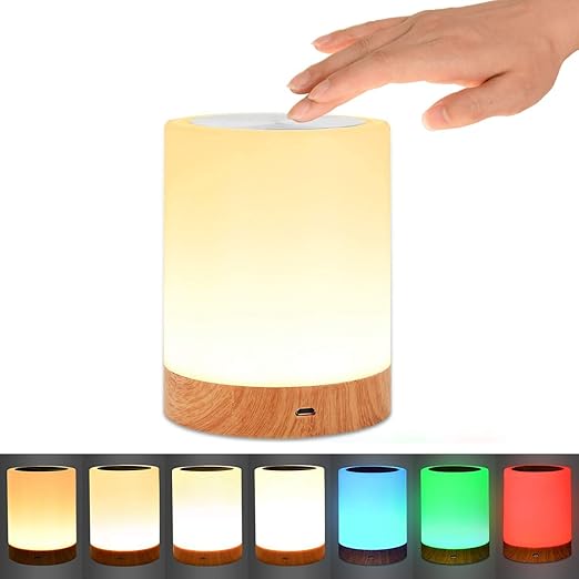 e101956 portable lamp