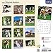 Siberian Huskies 2017 Calendar