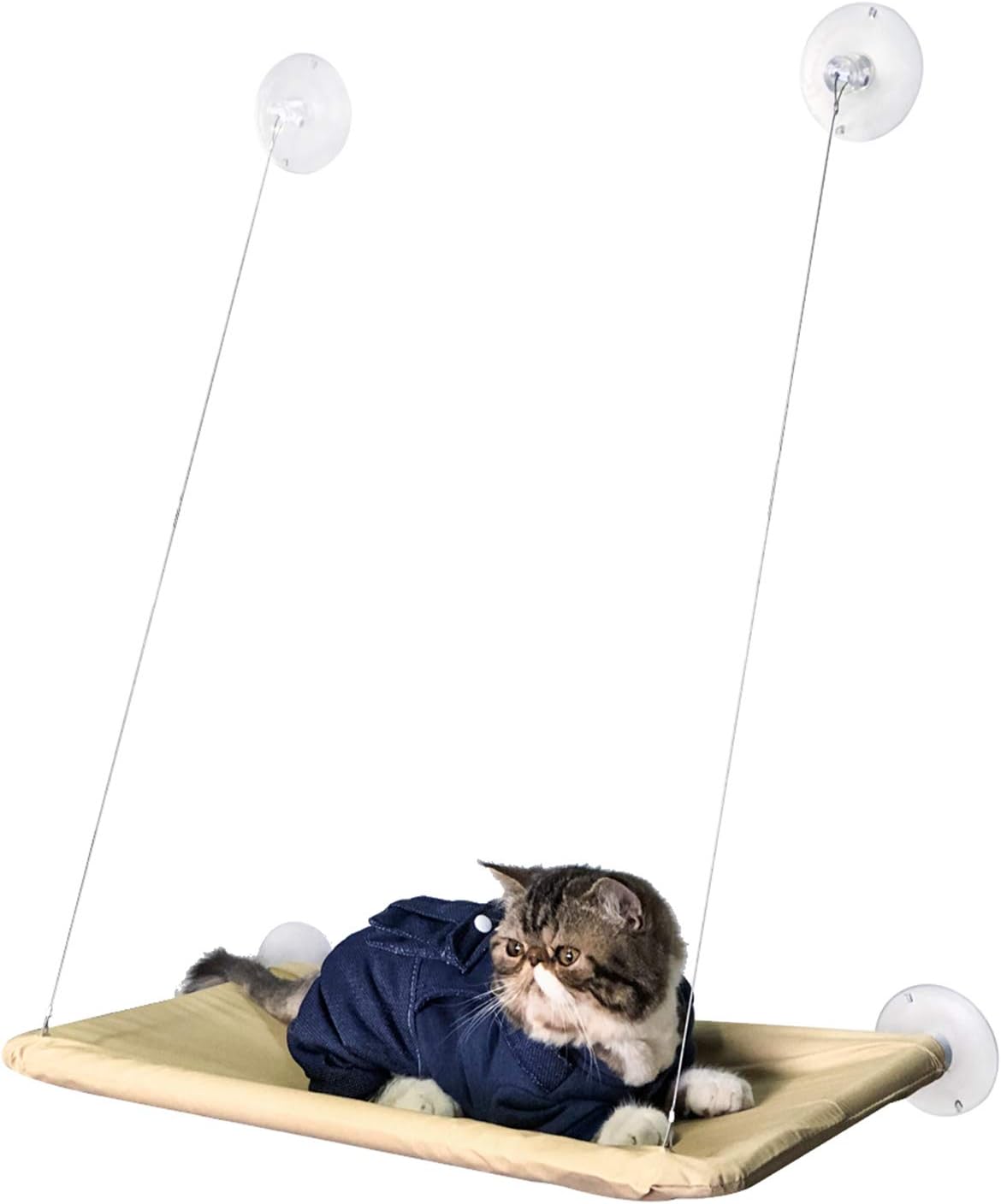 cat window hammock kmart