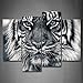 Black and White Tiger with Eye Staring and Beard Wall Art Painting Pictures Print On Canvas Animal The Picture for