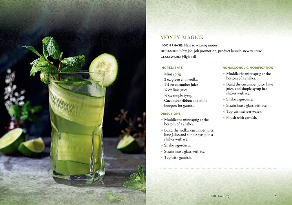 Witch's Brew: Magickal Cocktails to Raise the Spirits - A Cocktail Book