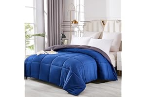 Bioeartha Bed Comforter, King Size Cooling Comforter for Night Sweats, All Season Warm and Soft Bedding Comforter, Box Stitch