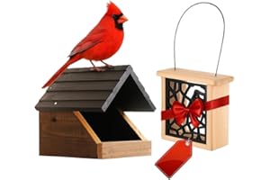 CEDAR ALPHA Cedar Wood Open Nesting Box - Cardinal Swallow Bird House Shelter Shelf -Suet Cake Bird Feeder - Birdhouse for Pheobe,Blackbird,Robins,Doves DIY Birdhouse Feeder Kits for Adults.