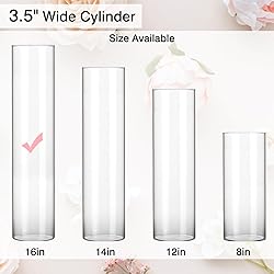 Fixwal Tall Glass Cylinder Vases, 16" H x