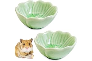BNOSDM 2 Pcs Hamster Ceramic Food Bowl Flower Series Gerbil Drinking Bowls Anti-Turning Food & Water Dish for Dwarf Syrian Hamsters Gerbil Chinchilla（Green, Narcissus Pattern）