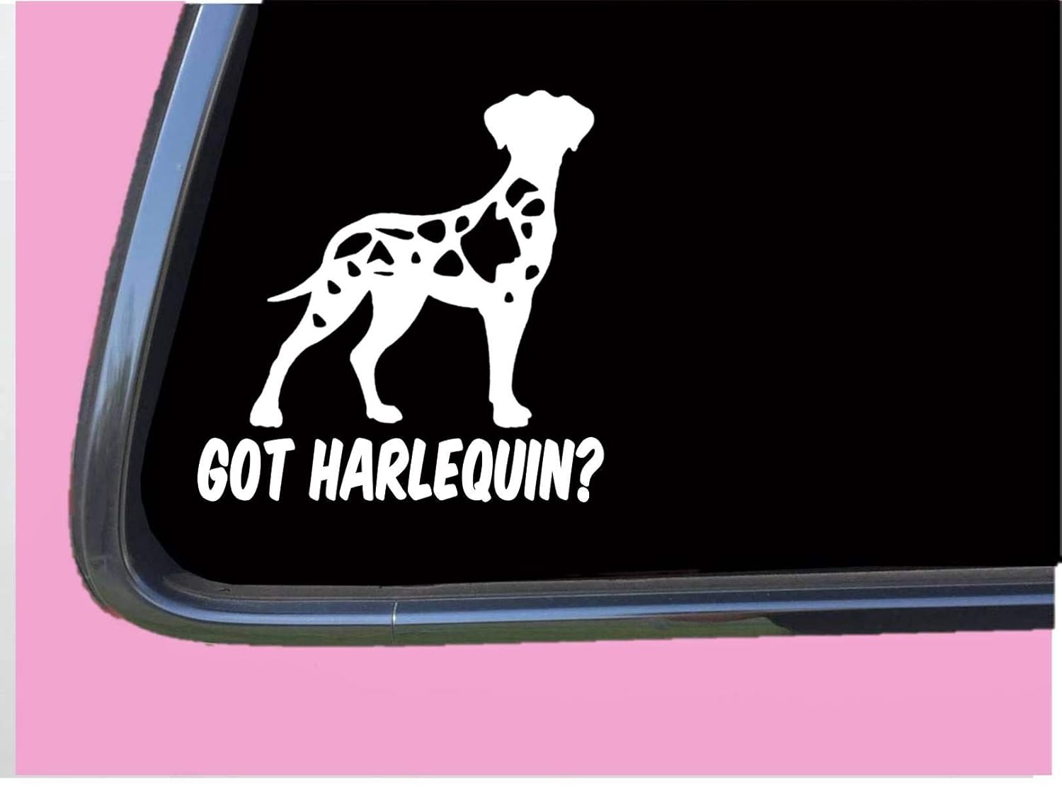 Amazon Com Got Harlequin Great Dane Uncropped Tp 548 Vinyl 6