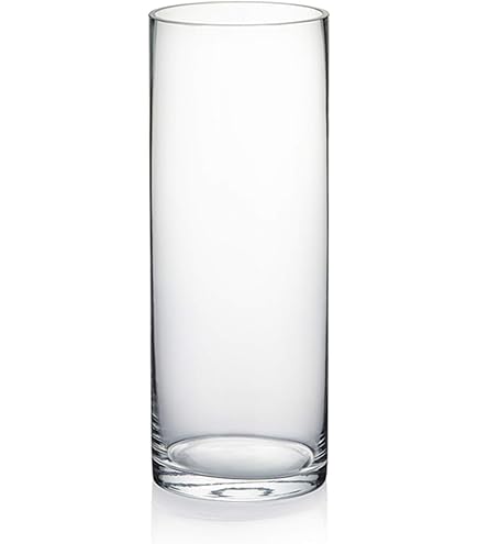 Amazon.com: WGV Cylinder Bud Vase, Width 2