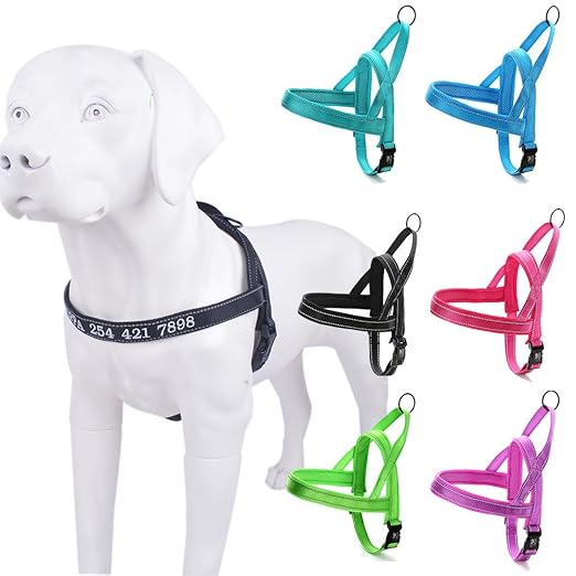 Amakunft Reflektierende Langlebig Anpassen Hundegeschirr mit Namen, Namen Bestickt Telefonnummer Pet Halsband, Persönlichen I