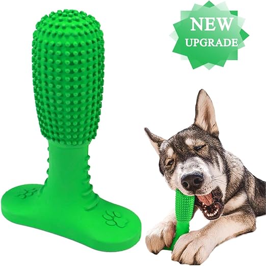 amazon dog toothbrush