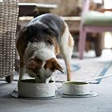 Petface Ceramic Dog Bowl Bone Design Cream Green 15 cm Pack 1 view 5