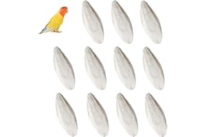 10Pcs Cuttlefish Bone Bird Cuttlebone, Parakeet Chew Toy Calcium Stone Bird Cage Food Cuttle Bone for Parrots Cockatiels Budg