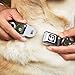 Buckle-Down DC-WDY034-L DYAG Jack Expression4 Full Color Dog Collar, Large/15-26