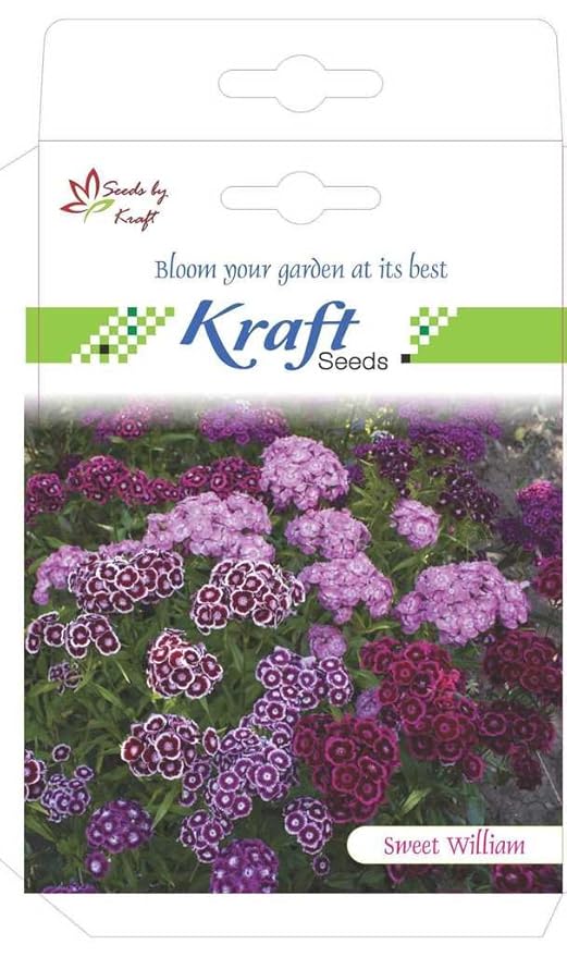 Kraft Seeds Sweet William Flower Seeds