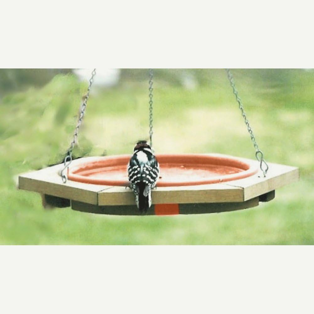 Songbird Essentials SE572 Mini Hanging Bird Bath Clay Tray (Set of 1)
