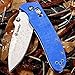 Ganzo G704-BL EDC Folding Knife Blade G10 Handle (Blue G10)