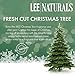 Lee Naturals Winter & Holiday - (2 Pack) FRESH CUT CHRISTMAS TREE - BEST SELLER - Premium All Natural 6-Piece Soy Wax Melts. Hand Poured Naturally Strong Scented Soy Wax Cubes