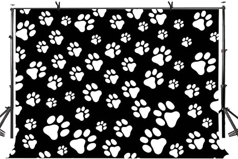Buenn Chiot Chien Patte Toile Fond Noir Fond Blanc Chien