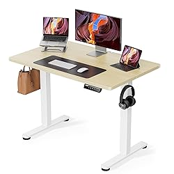 ErGear Height Adjustable Electric Standing Desk, 40