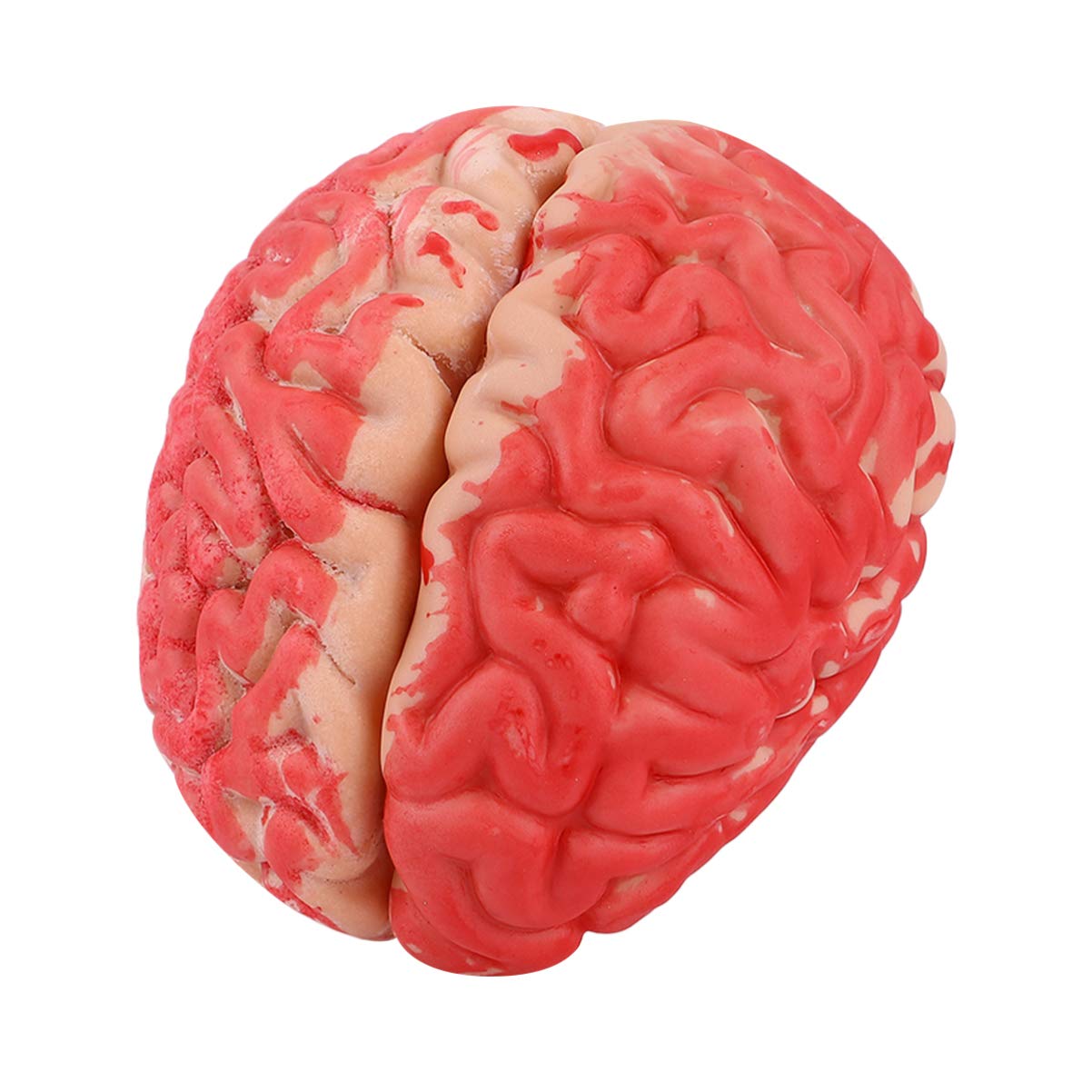 Brain Fake Body Parts Halloween Horror Prop for Halloween Party Haunted House Decoration