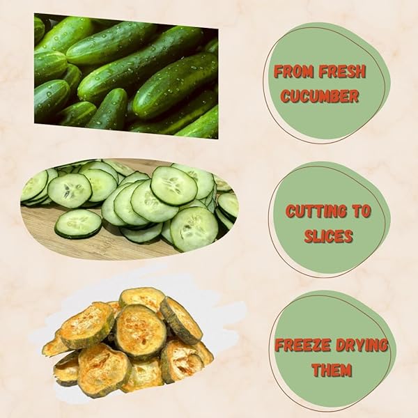 G-BOX FREEZE DRIED CUCUMBERS, FREEZE DRIED VEGGIES, HEALTHY SNACK, VEGGIE CHIPS, EMERGENCY SURVIVAL FOOD (LARGE-1.8 OZ, CHAMOY)