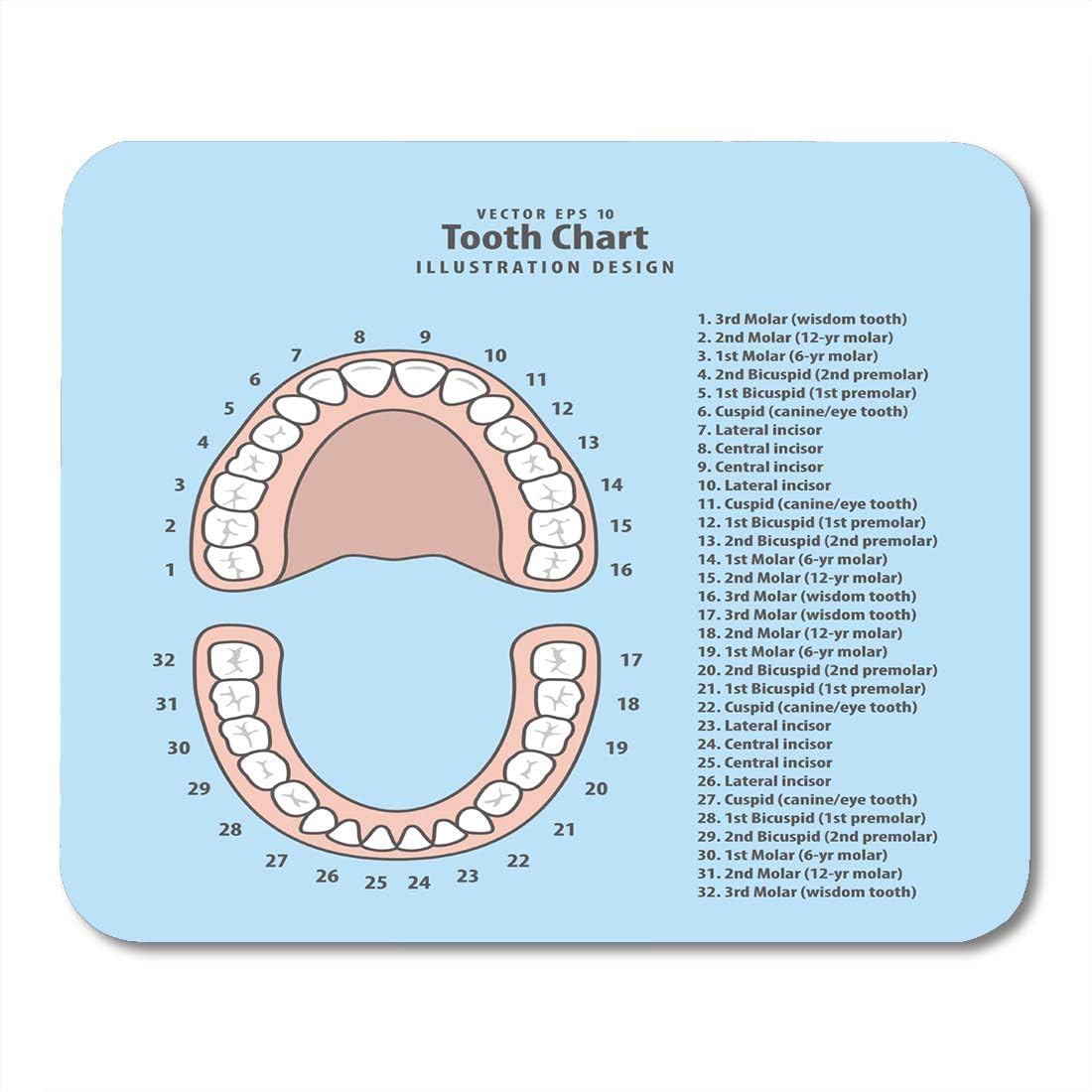 Emvency Mouse Pads Pink Education Tooth Chart Number Infographic on