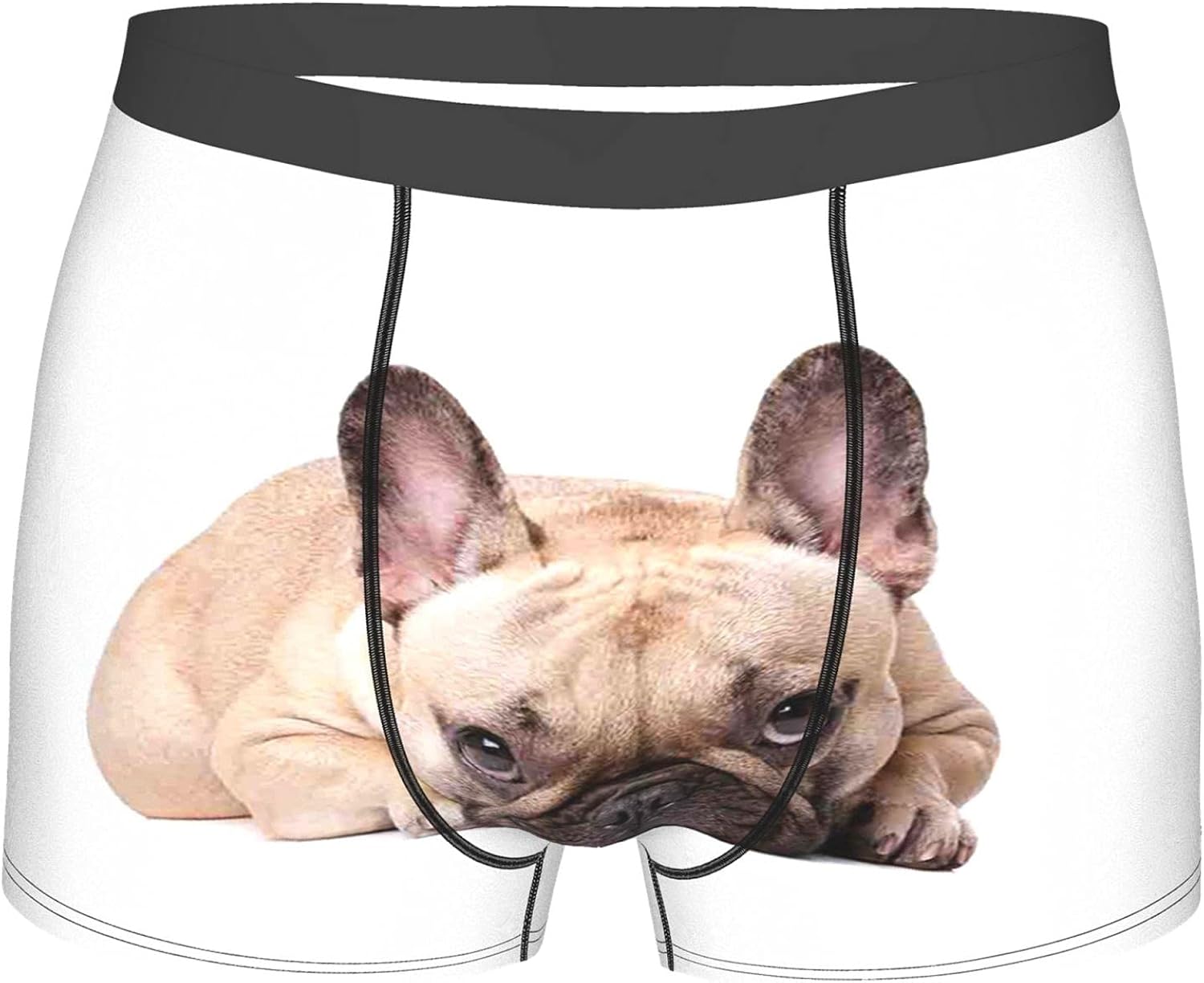 Men's Underwear,Canine In A Funny Pose Darling Domestic Pet Photo For