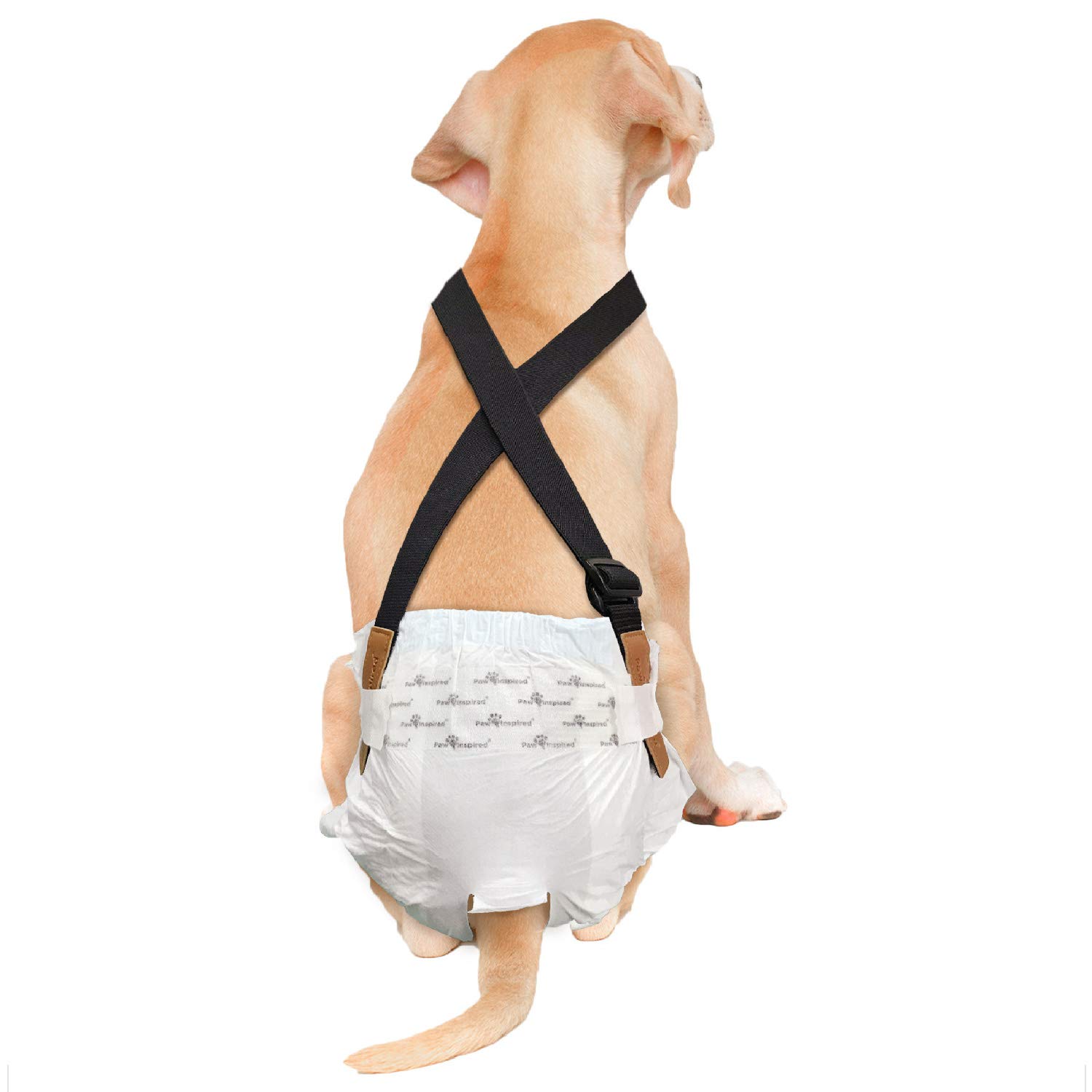 Paw Inspired Dog Diaper Suspenders with Velcro Fasteners | Stretchy Adjustable Suspenders for Female and Male Disposable and Washable Diapers | Fits Small, Medium and Large Size Pets (M/L, Black)