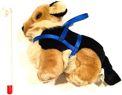 lakeshore toys amazon