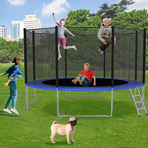 LONABR 12-Foot Trampoline Combo Bounce Jump Trampoline with Safety Enclosure Net and Spring Pad