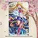A Wide Variety of Bishoujo Senshi Sailor Moon Anime Characters Wall Scroll Hanging Decor (Tsukino Usagi 3)