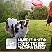 Hill's Science Diet Adult 7+, Senior Adult 7+ Premium Nutrition, Dry Dog Food, Chicken, Brown Rice, & Barley, 5 lb Bag