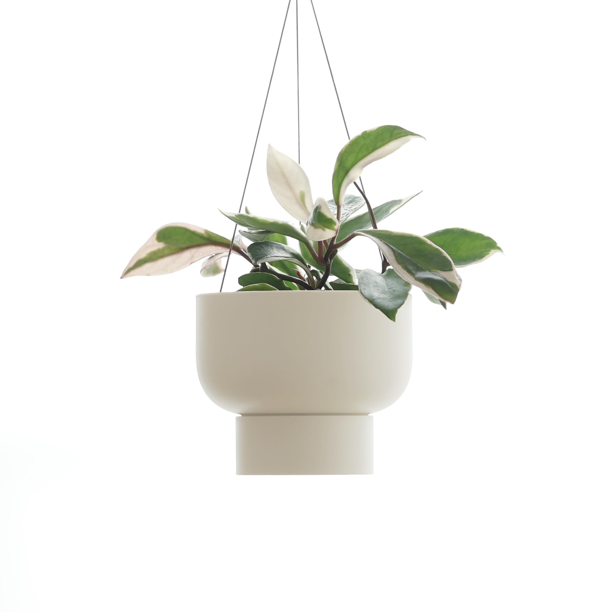 マーナ (marna) ハンギングプラントポット (155mm) 溜まった水が捨てやすい (高さ調整可能) 植木鉢 プランター ハンギングポット 観葉植物 ハンギングプランター サンドベージュ S508BE商品画像