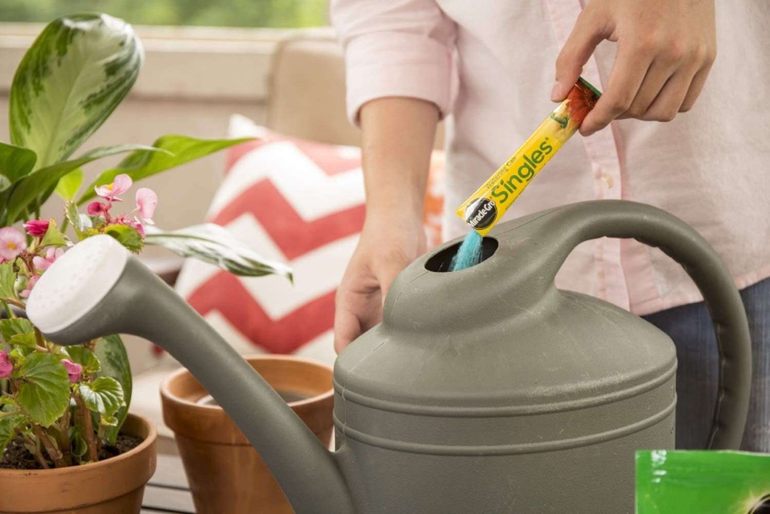 Miracle-Gro Watering Can Singles All Purpose Water Soluble Plant Food, Includes 24 Pre-Measured Packets : Fertilizers : Garden & Outdoor