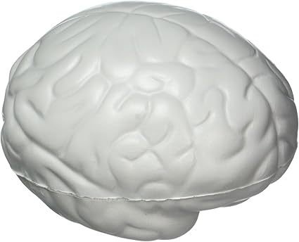 brain shaped stress balls